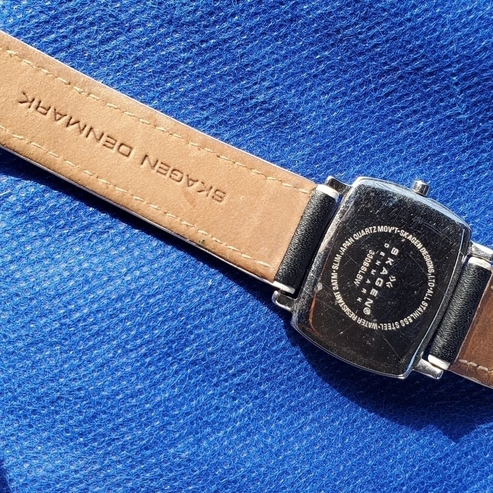 Skagen Denmark Slim Water Resistant Battery Operated Bracelet Watch